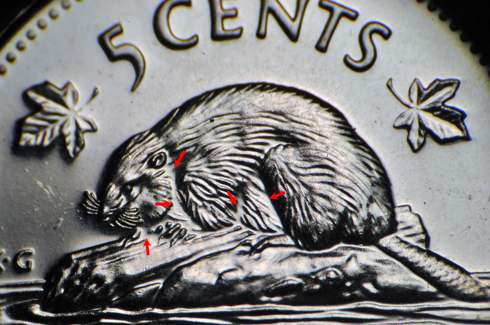 2001-P-5c-Abraded-Die-Design-Detail-Missing-On-Beaver