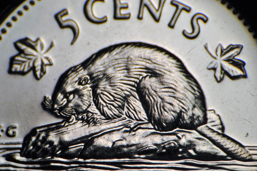 2001-P-5c-Abraded-Die-Design-Detail-Missing-On-Beaver