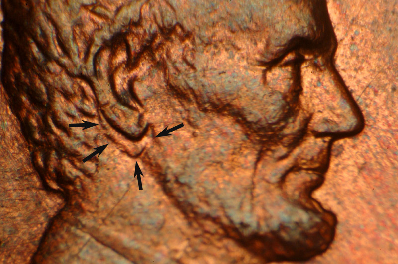 A-Look-At-The-1988-Doubled-Ear-Cent--First-One-Reported
