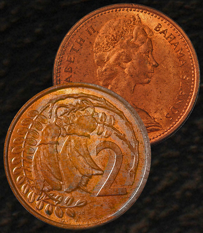 New-Zealand-Bahama-2c-Mule-Error