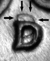 1960-D/D-North-Lincoln-Cent