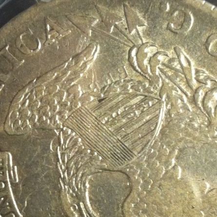 All-Members,-Post-Your-Most-Recent-US-Coin-Purchases!