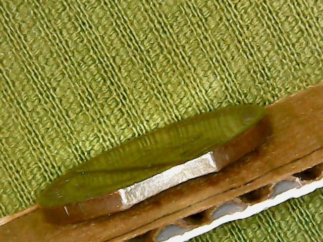 Help-With-1980-Nickel-Cut-Off-Along-The-Edge.-Damage-Or-Something-Else?