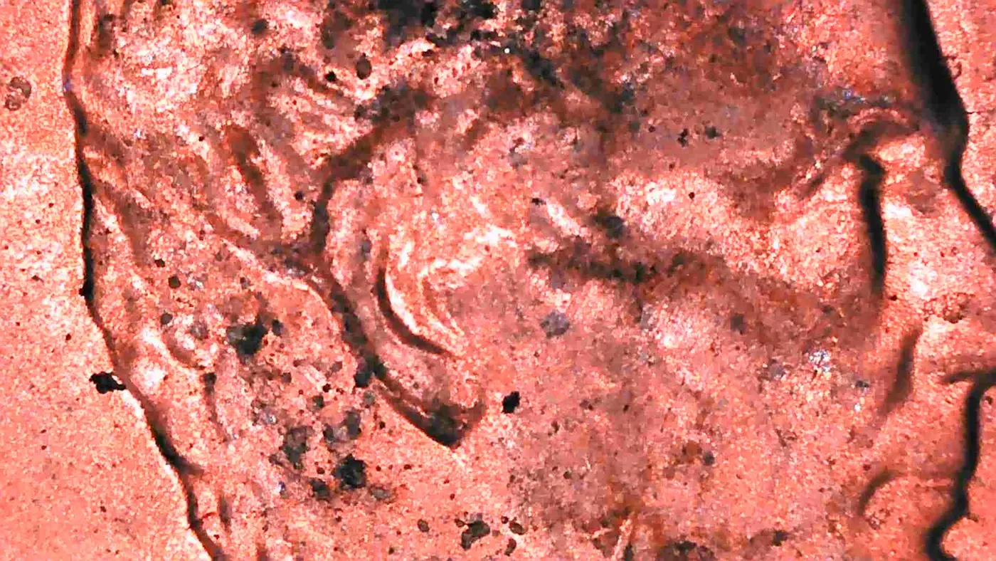 1988-D-Lincoln-Cent-Ear-Doubling