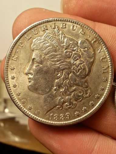 Need-Help-Grading-These-4-Morgan-Dollars-Please-!!