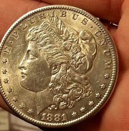 Need-Help-Grading-These-4-Morgan-Dollars-Please-!!