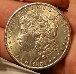 Need-Help-Grading-These-4-Morgan-Dollars-Please-!!
