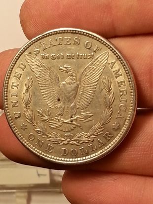 Need-Help-Grading-These-4-Morgan-Dollars-Please-!!