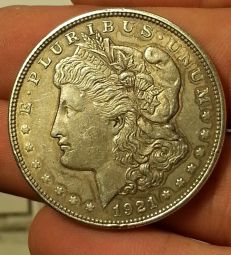 Need-Help-Grading-These-4-Morgan-Dollars-Please-!!