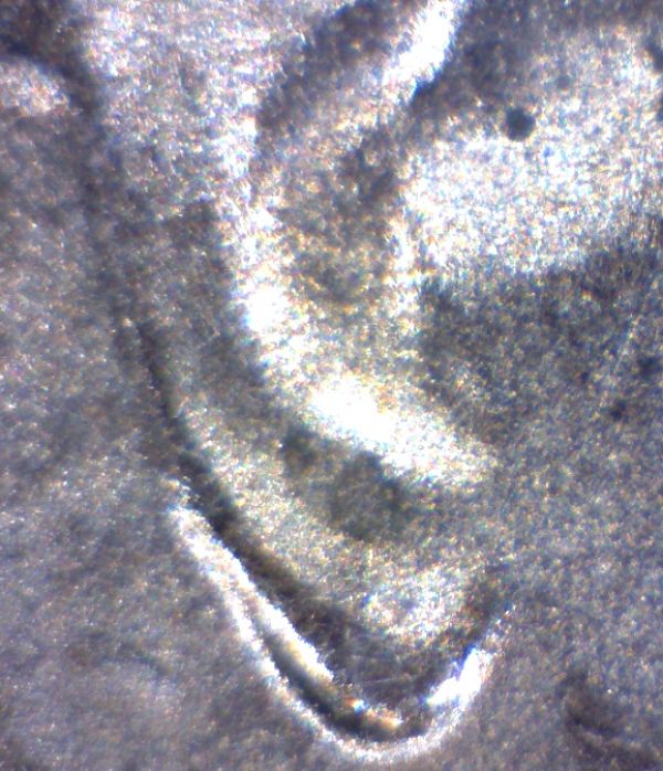2011--LC-DDO-?