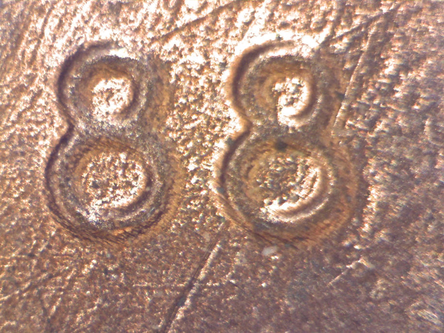 1988-P-LMC-DDO/Ddr?