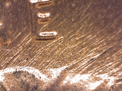 1988-P-LMC-DDO/Ddr?
