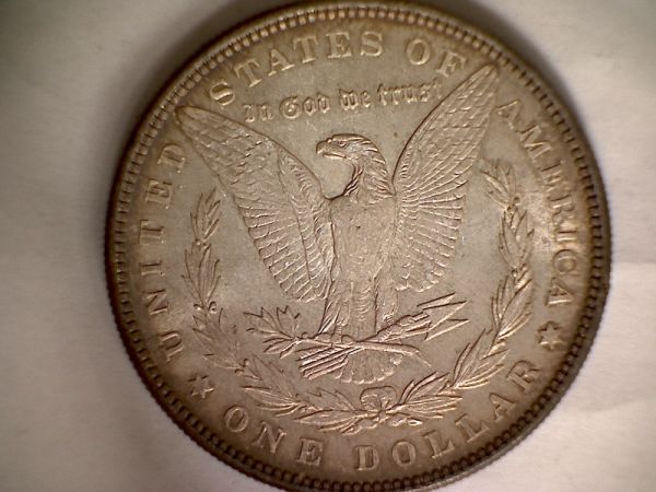 Raw-1885-Morgan-Dollar-From-Ebay