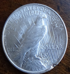 1922-Peace-Dollar---PMD-Or-Flawed-Planchet?