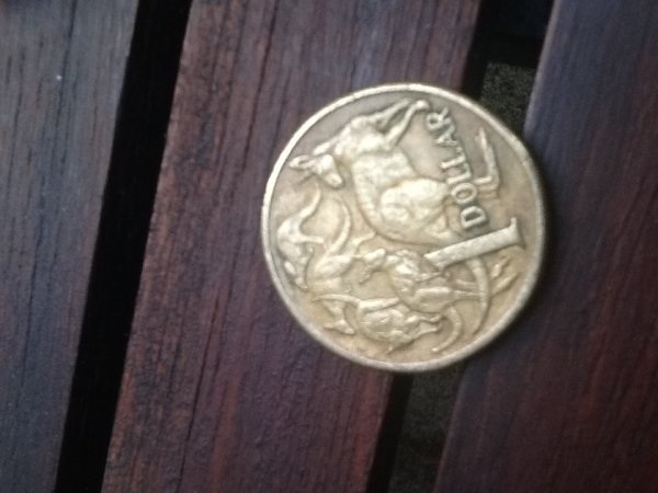 2000-Dollar-With-Extra-Ear-On-Roo?