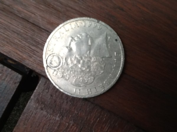 Noodling-Find-Of-The-Week?