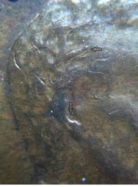 Help-Identify-1952-D-RPM