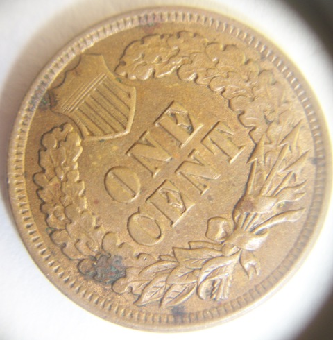 1901-IHC-Grade