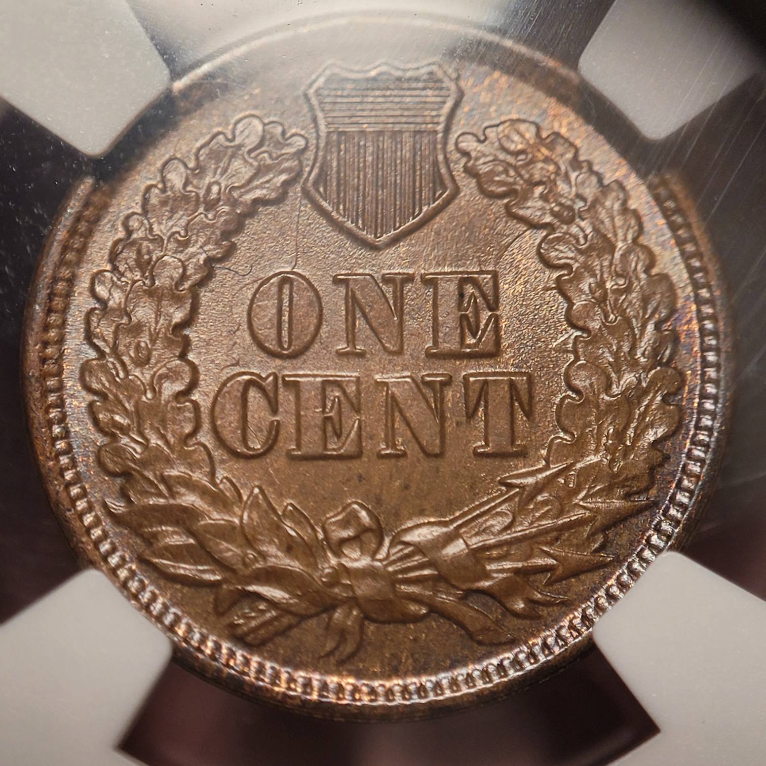 1864/64-Indian-Head-Cent-Cherrypick,-You-Vs-NGC.