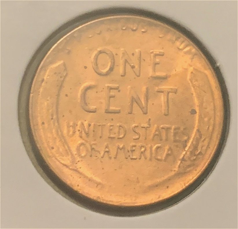 Unc-1955-LWC-RD---Mint-Error---Need-Help