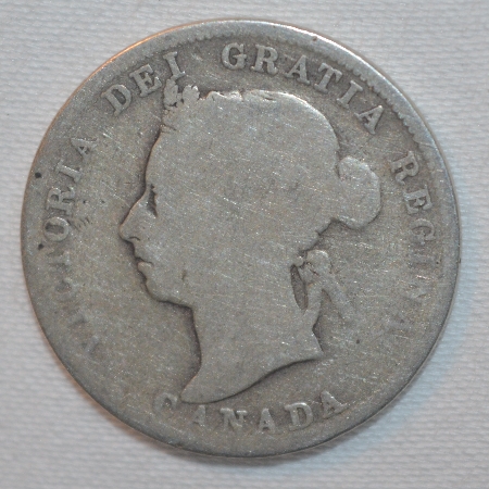 Coin-Appraiser-In-Th-Gta