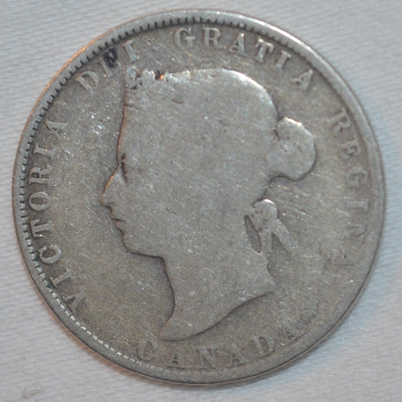Coin-Appraiser-In-Th-Gta