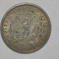 Another-Morgan-Dollar-Grade-Please