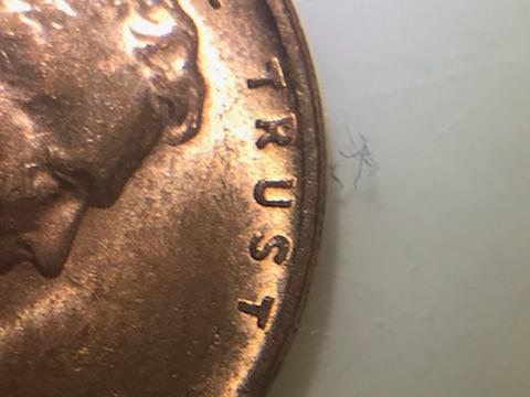 1957-D-Lincoln-Wheat-Cent