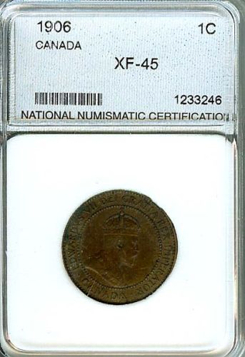 Any-One-Can-Become-A-Pro-Coin-Grader-I-See