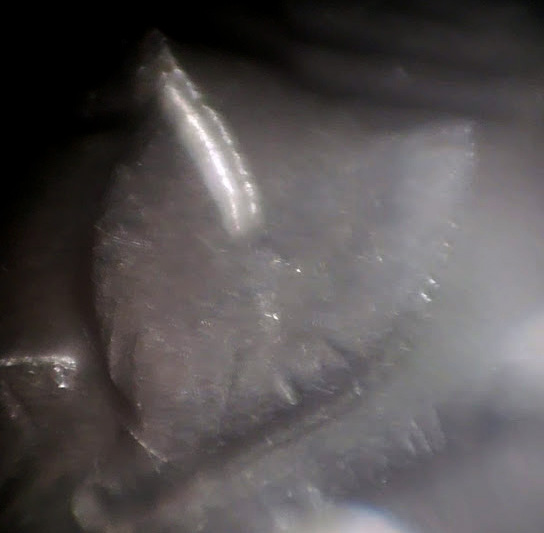 1992-D-Quarter.--Wide-N-United-Word-And-DD-In-One-The-Leaves.