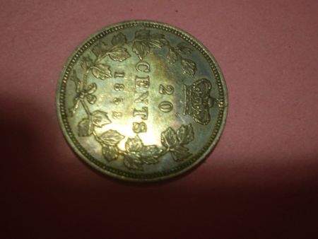1858-20--Cent---Problem-Coin?