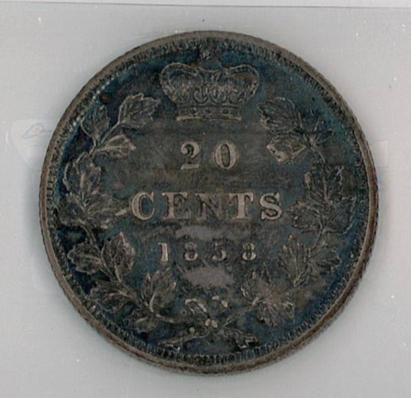 Under-Graded-Vickys