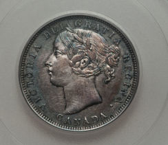 Ungradable-But-Mucho-Beauty--1858