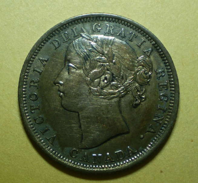 Ungradable-But-Mucho-Beauty--1858