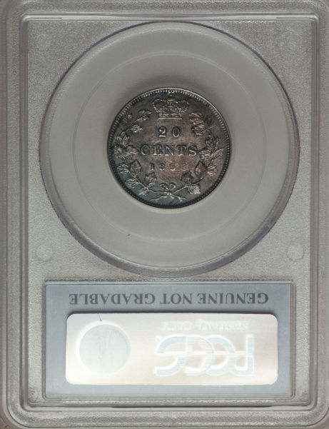 Ungradable-But-Mucho-Beauty--1858