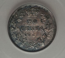 Ungradable-But-Mucho-Beauty--1858