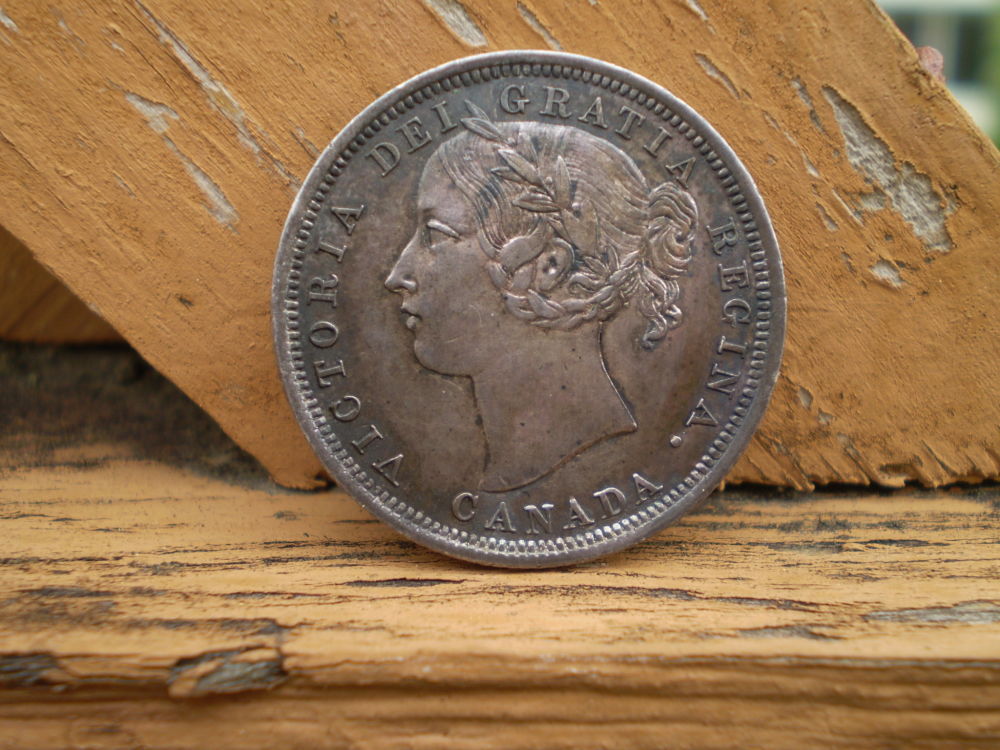 Wear-Or-Shelf-Rub?-1858---20-Cent