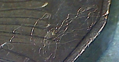 2004-50-Cents...what-Is-This?