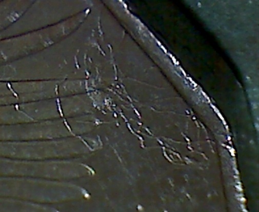 2004-50-Cents...what-Is-This?