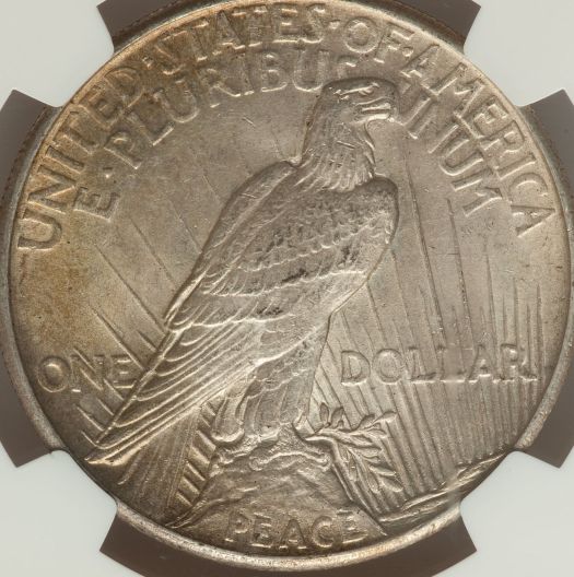 Which-Is-The-Real-1921-Peace-Dollar?