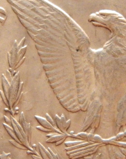 Check-Out-This-1885-CC-Morgan