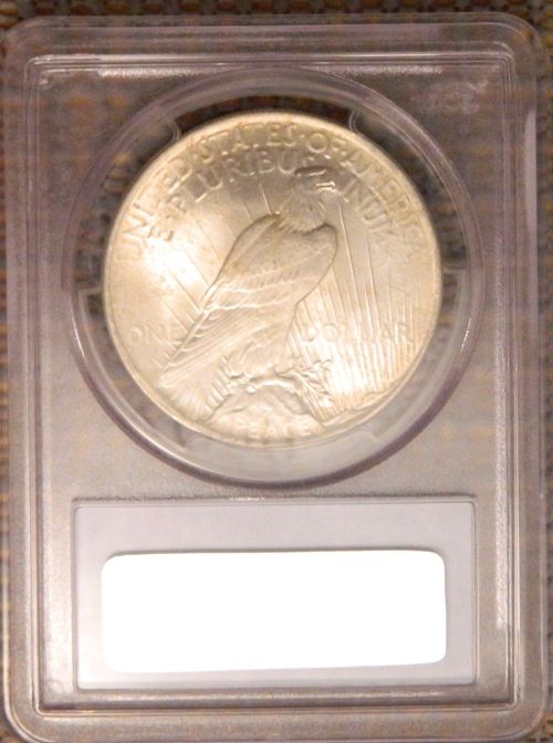 Check-Out-This-1924--Peace-Dollar