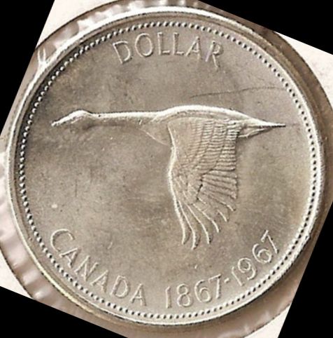 Calling-All--1967-Goose-Dollar-Experts