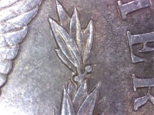 1889-Morgan-Dollar-VAM?