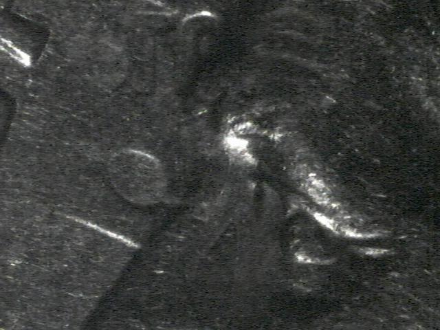 2000-D-Roosevelt-Dime-Error