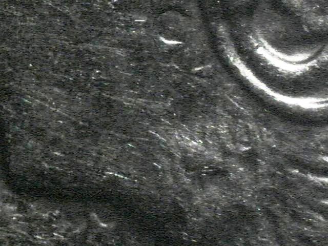 2000-D-Roosevelt-Dime-Error