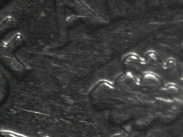 2000-D-Roosevelt-Dime-Error