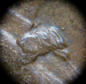 1936-P-1-DO-001-LWC---Unbelievable-Find-In-Circulated-LMC-Roll
