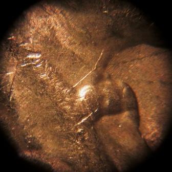 1961-P-LMC-Die-Defect?