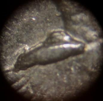 2006-P-South-Dakota-Quarter---Nice-Die-Chip